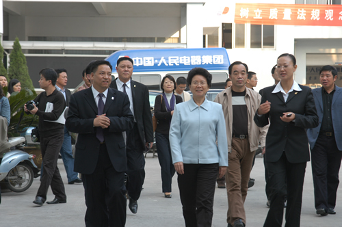 人民電器,人民電器集團,中國人民電器集團